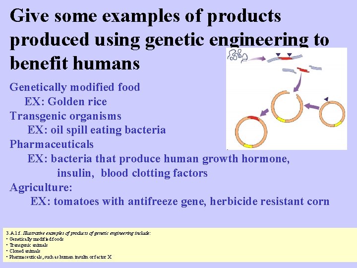 Give some examples of products produced using genetic engineering to benefit humans Genetically modified