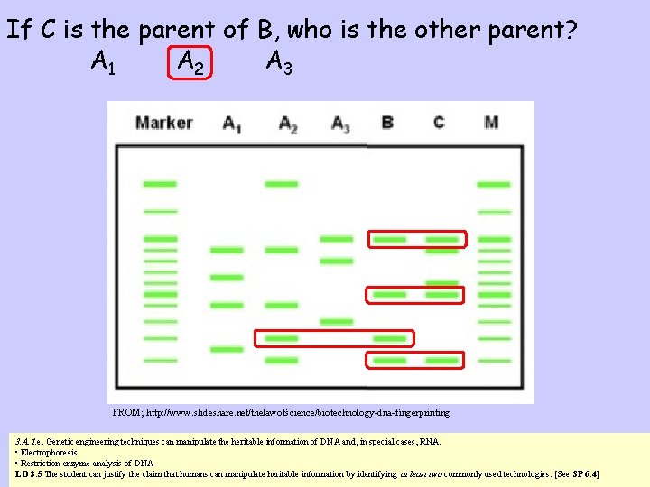 If C is the parent of B, who is the other parent? A 1