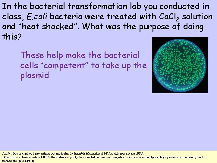 In the bacterial transformation lab you conducted in class, E. coli bacteria were treated