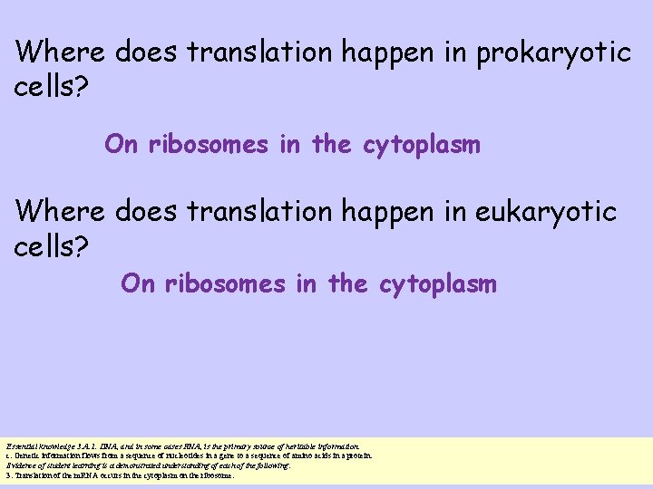 Where does translation happen in prokaryotic cells? On ribosomes in the cytoplasm Where does