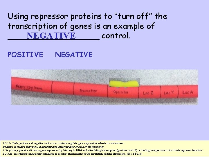 Using repressor proteins to “turn off” the transcription of genes is an example of