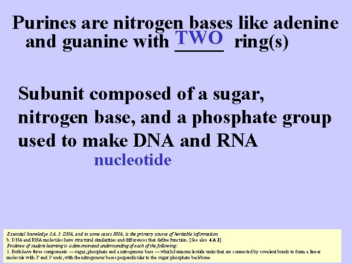 Purines are nitrogen bases like adenine TWO ring(s) and guanine with _____ Subunit composed