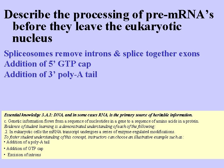 Describe the processing of pre-m. RNA’s before they leave the eukaryotic nucleus Spliceosomes remove