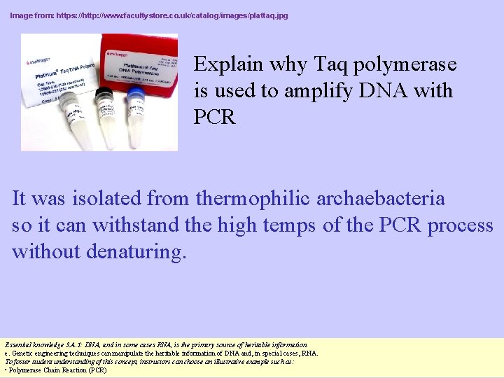 Image from: https: //http: //www. facultystore. co. uk/catalog/images/plattaq. jpg Explain why Taq polymerase is