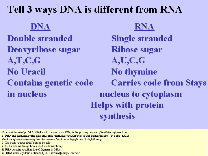 Tell 3 ways DNA is different from RNA DNA RNA Double stranded Single stranded