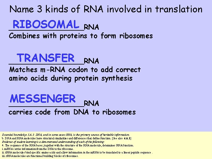 Name 3 kinds of RNA involved in translation RIBOSOMAL _________RNA Combines with proteins to