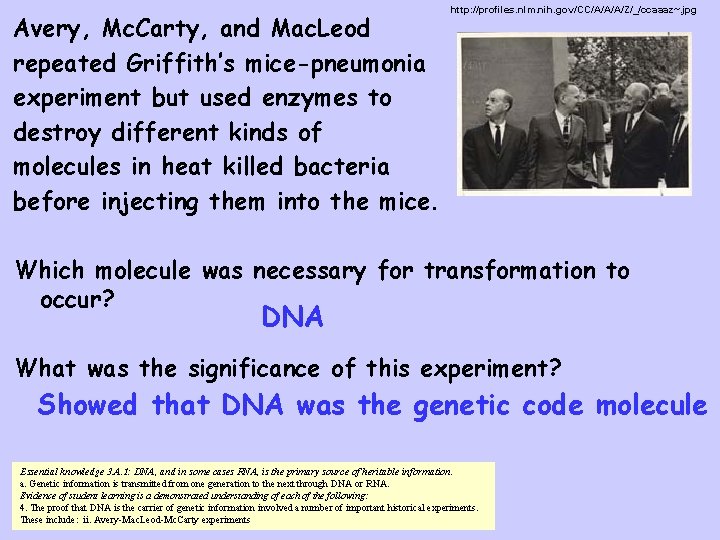 Avery, Mc. Carty, and Mac. Leod repeated Griffith’s mice-pneumonia experiment but used enzymes to