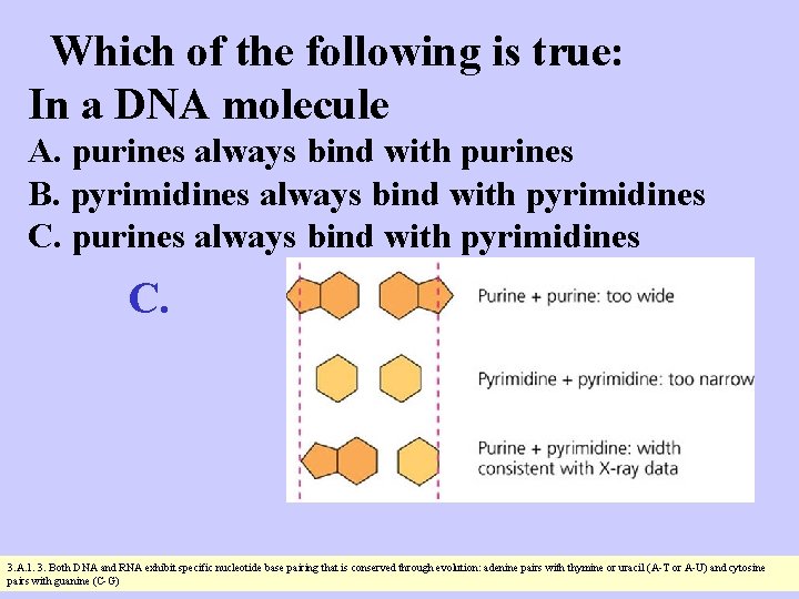 Which of the following is true: In a DNA molecule A. purines always bind
