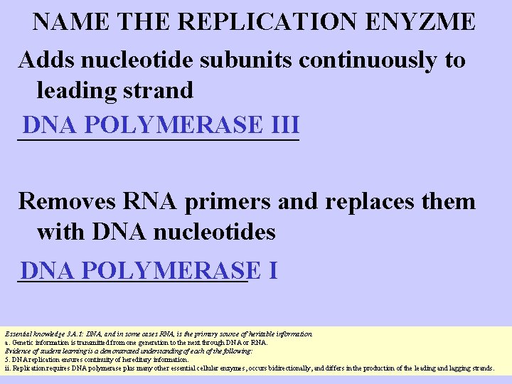 NAME THE REPLICATION ENYZME Adds nucleotide subunits continuously to leading strand DNA POLYMERASE III