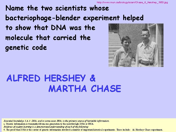 http: //www. mun. ca/biology/scarr/Chase_&_Hershey_1953. jpg Name the two scientists whose bacteriophage-blender experiment helped to