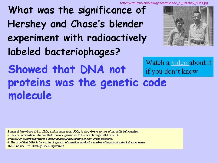 http: //www. mun. ca/biology/scarr/Chase_&_Hershey_1953. jpg What was the significance of Hershey and Chase’s blender