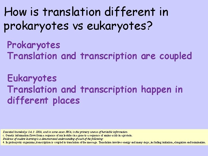 How is translation different in prokaryotes vs eukaryotes? Prokaryotes Translation and transcription are coupled