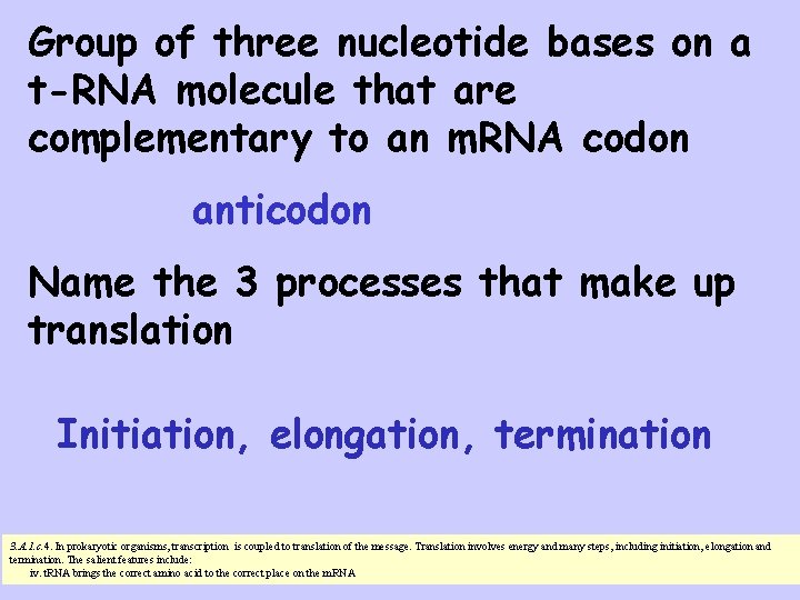 Group of three nucleotide bases on a t-RNA molecule that are complementary to an