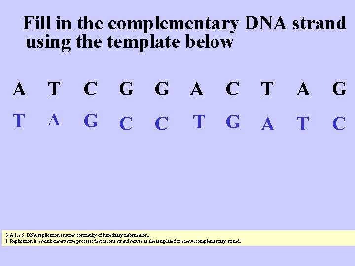Fill in the complementary DNA strand using the template below A T C G