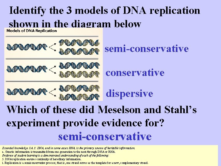 Identify the 3 models of DNA replication shown in the diagram below semi-conservative dispersive