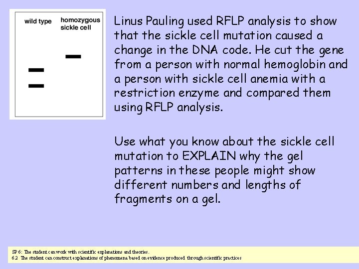 Linus Pauling used RFLP analysis to show that the sickle cell mutation caused a