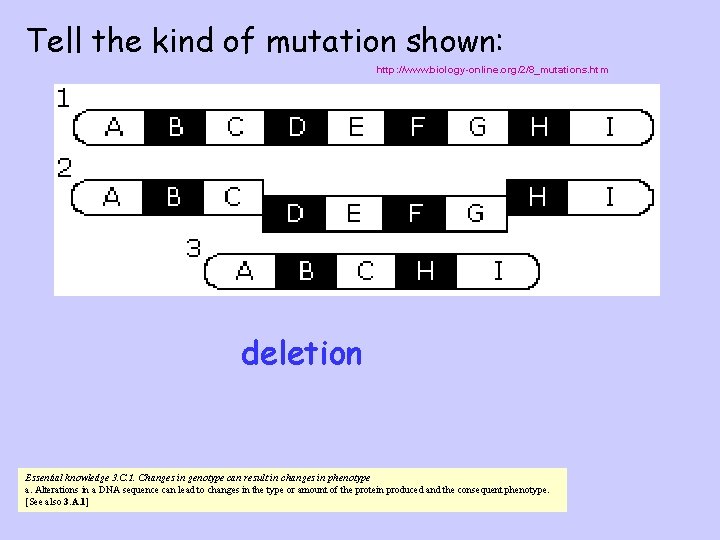 Tell the kind of mutation shown: http: //www. biology-online. org/2/8_mutations. htm deletion Essential knowledge