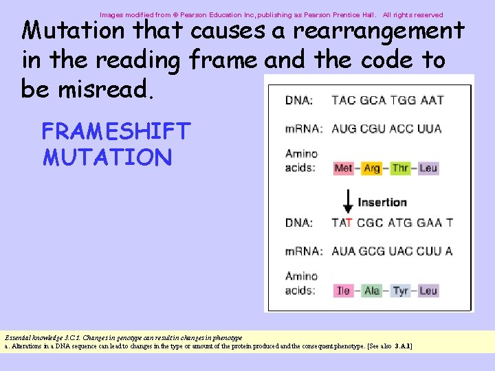 Mutation that causes a rearrangement in the reading frame and the code to be