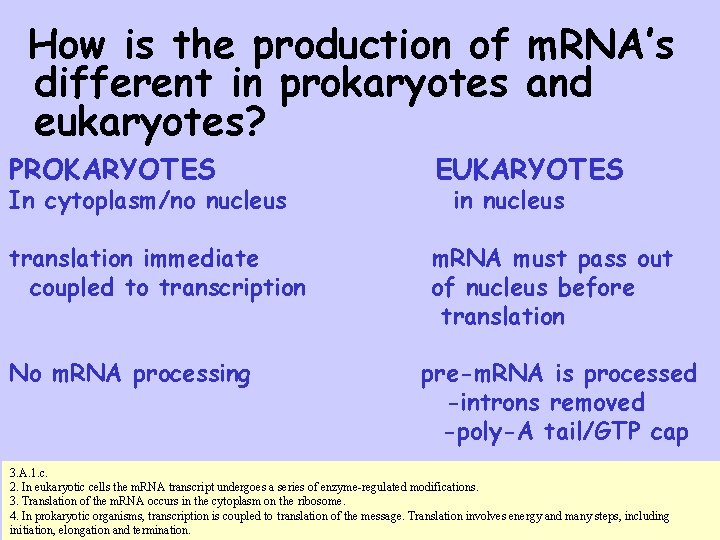 How is the production of m. RNA’s different in prokaryotes and eukaryotes? PROKARYOTES EUKARYOTES