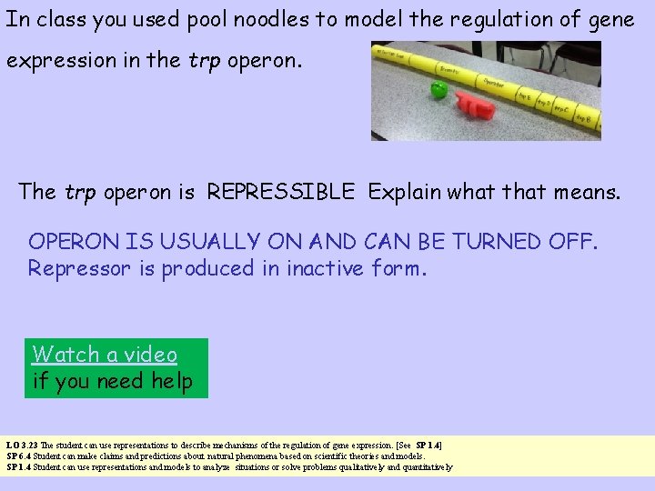 In class you used pool noodles to model the regulation of gene expression in