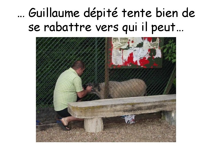 … Guillaume dépité tente bien de se rabattre vers qui il peut… 