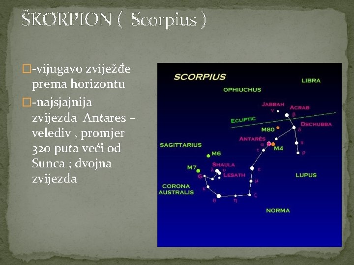 ŠKORPION ( Scorpius ) �-vijugavo zviježđe prema horizontu �-najsjajnija zvijezda Antares – velediv ,