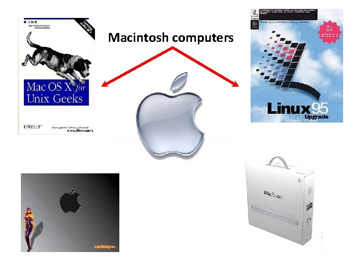 Macintosh computers 