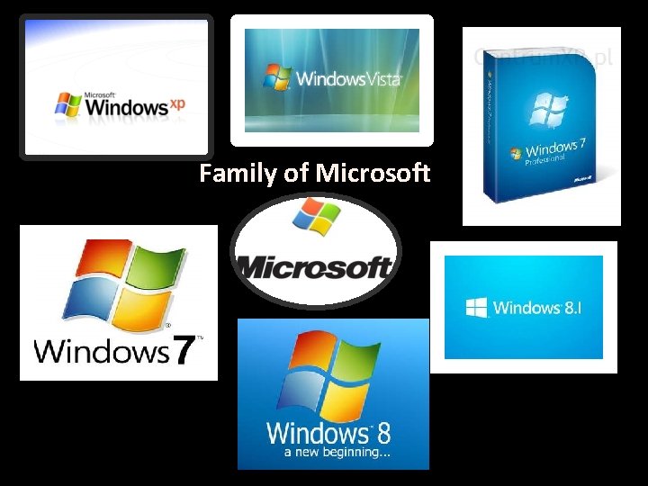 Family of Microsoft 