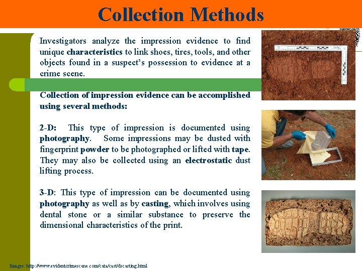 Collection Methods Investigators analyze the impression evidence to find unique characteristics to link shoes,