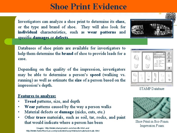 Shoe Print Evidence Investigators can analyze a shoe print to determine its class, or