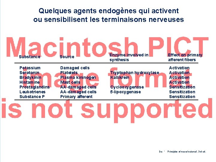 Quelques agents endogènes qui activent ou sensibilisent les terminaisons nerveuses Substance Source Potassium Serotonin