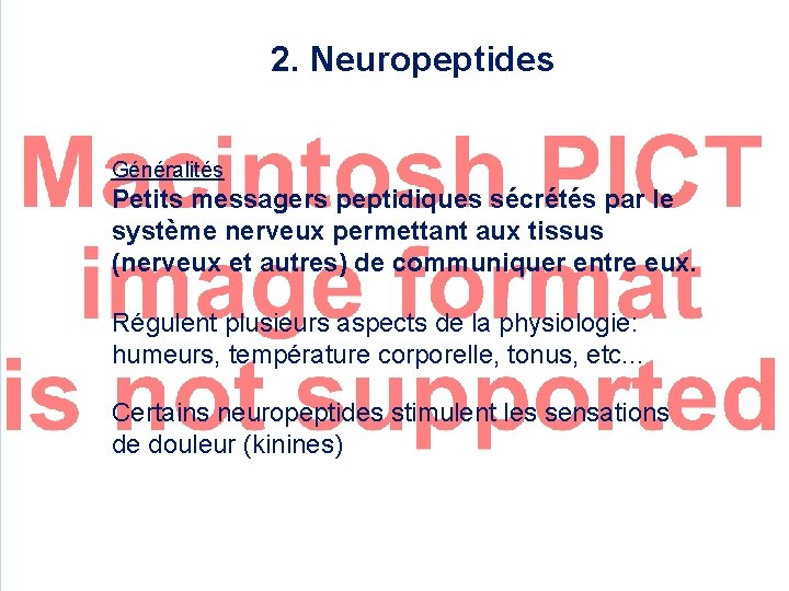 2. Neuropeptides Généralités Petits messagers peptidiques sécrétés par le système nerveux permettant aux tissus
