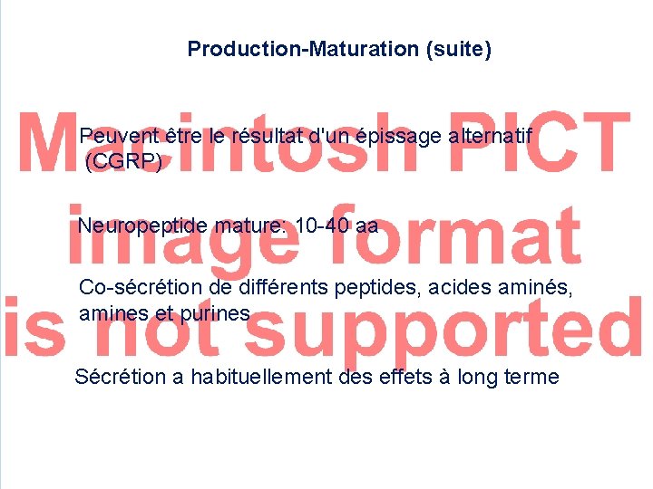 Production-Maturation (suite) Peuvent être le résultat d'un épissage alternatif (CGRP) Neuropeptide mature: 10 -40