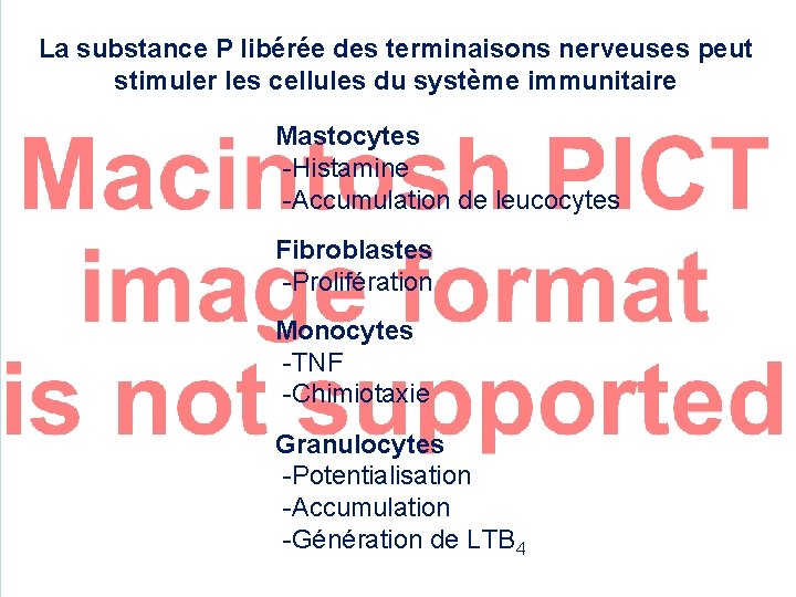 La substance P libérée des terminaisons nerveuses peut stimuler les cellules du système immunitaire