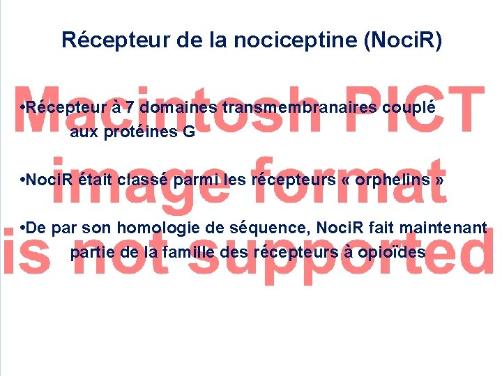 Récepteur de la nociceptine (Noci. R) • Récepteur à 7 domaines transmembranaires couplé aux