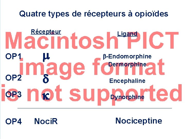 Quatre types de récepteurs à opioïdes Récepteur OP 1 OP 3 OP 4 Noci.