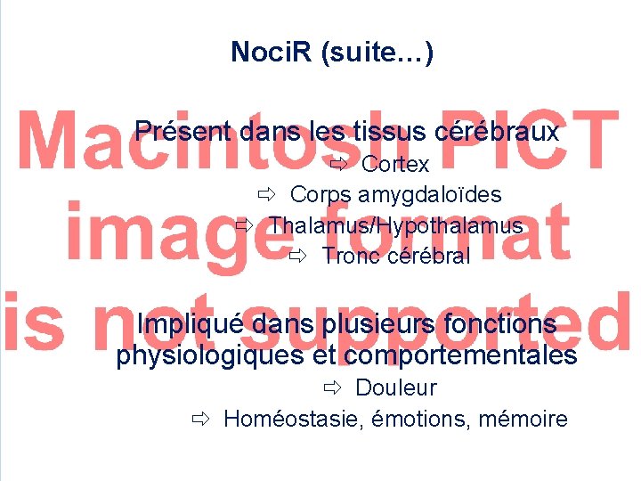 Noci. R (suite…) Présent dans les tissus cérébraux Cortex Corps amygdaloïdes Thalamus/Hypothalamus Tronc cérébral