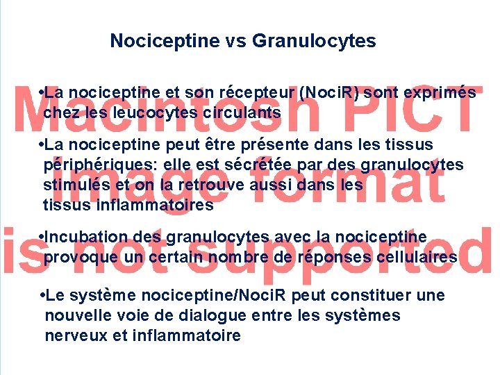 Nociceptine vs Granulocytes • La nociceptine et son récepteur (Noci. R) sont exprimés chez