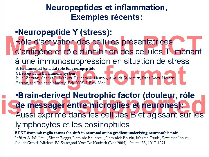 Neuropeptides et inflammation, Exemples récents: • Neuropeptide Y (stress): Rôle d’activation des cellules présentatrices