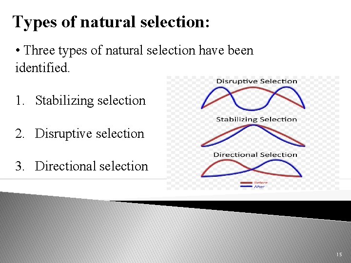 Types of natural selection: • Three types of natural selection have been identified. 1.