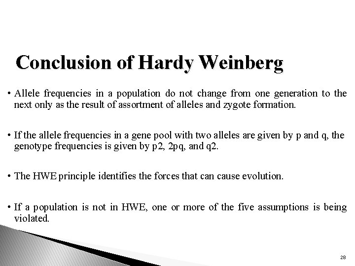 Conclusion of Hardy Weinberg • Allele frequencies in a population do not change from