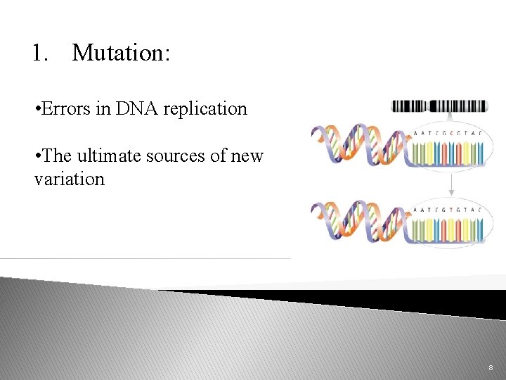 1. Mutation: • Errors in DNA replication • The ultimate sources of new variation