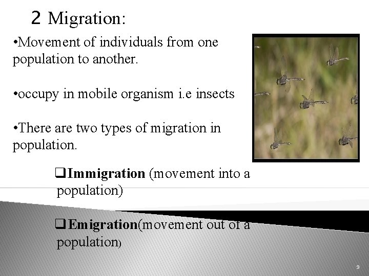 2 Migration: • Movement of individuals from one population to another. • occupy in
