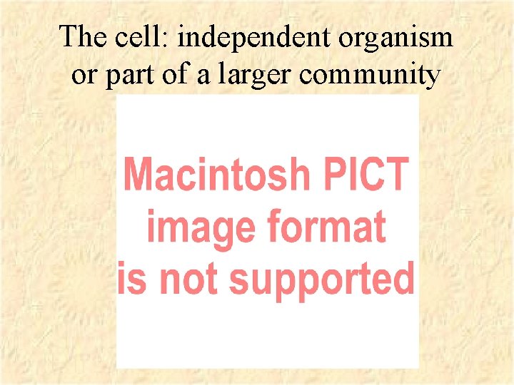 The cell: independent organism or part of a larger community 