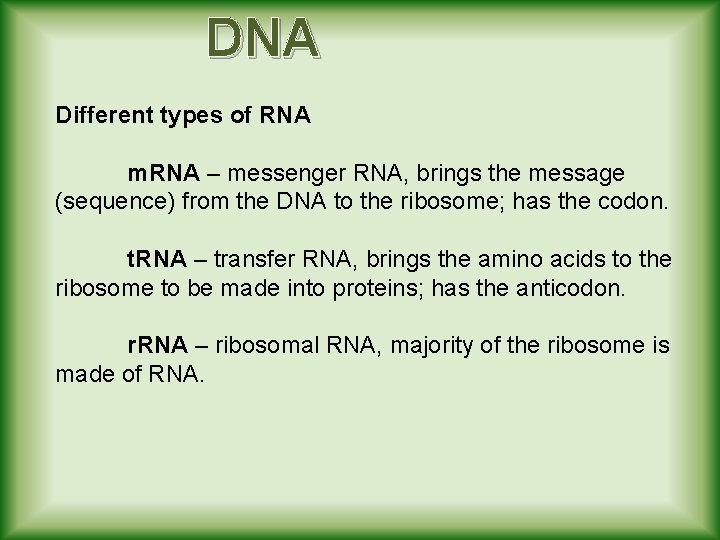 DNA Different types of RNA m. RNA – messenger RNA, brings the message (sequence)