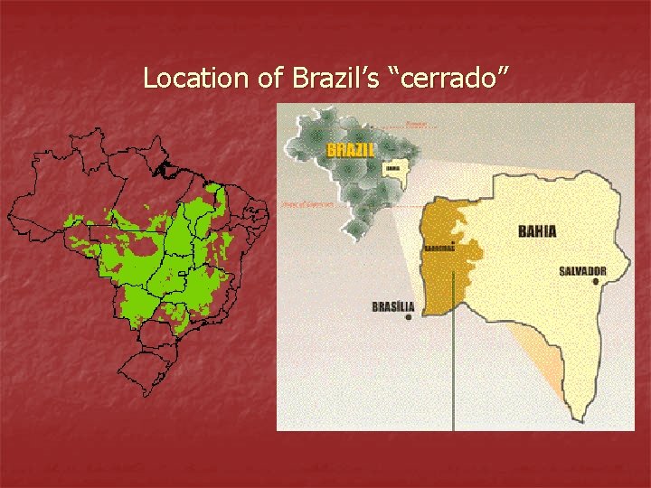 Location of Brazil’s “cerrado” 