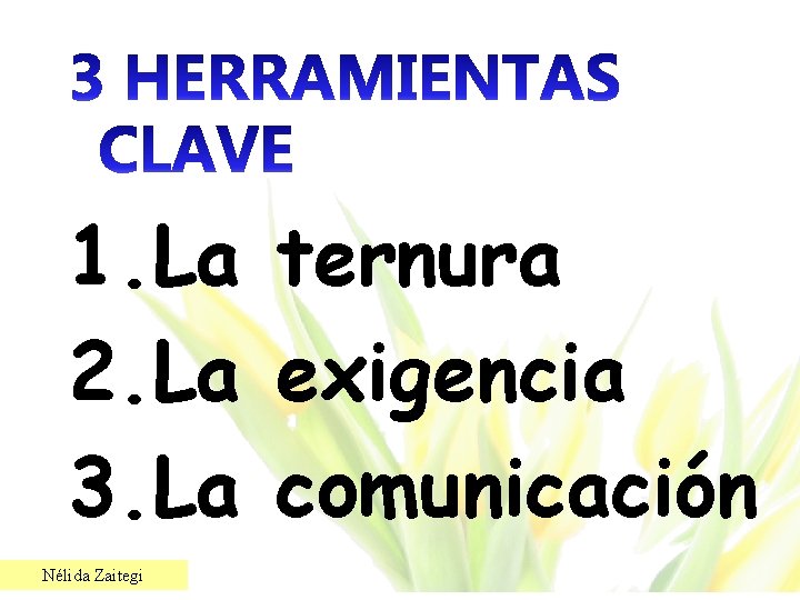 1. La ternura 2. La exigencia 3. La comunicación Nélida Zaitegi 