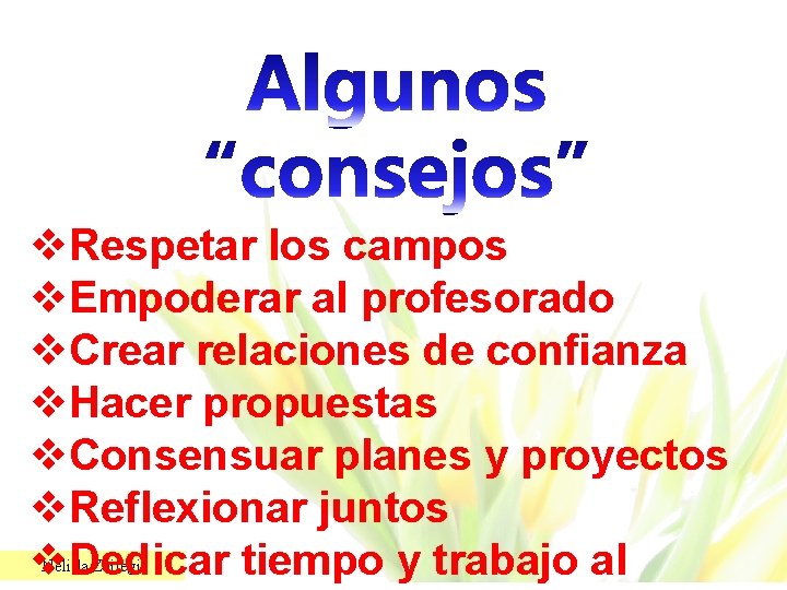 v. Respetar los campos v. Empoderar al profesorado v. Crear relaciones de confianza v.