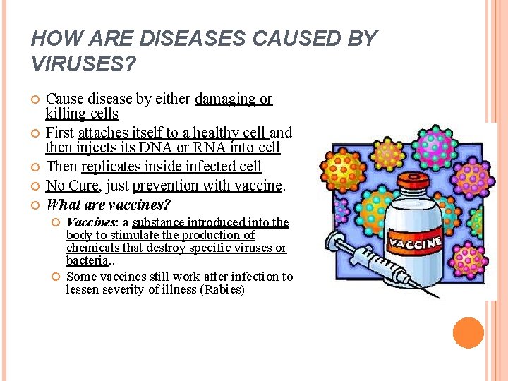 HOW ARE DISEASES CAUSED BY VIRUSES? Cause disease by either damaging or killing cells