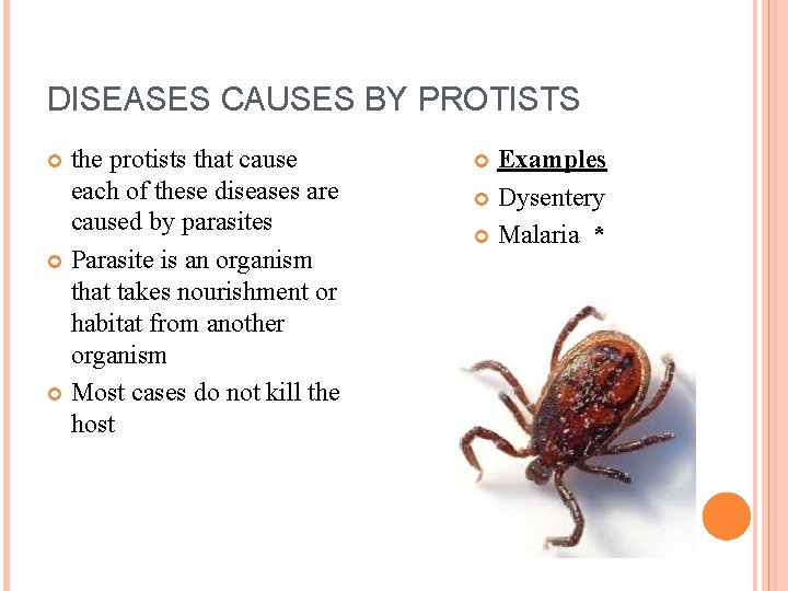 DISEASES CAUSES BY PROTISTS the protists that cause each of these diseases are caused